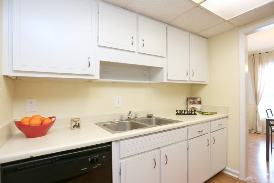 Photos and Video of Willow Lake in Stone Mountain, GA